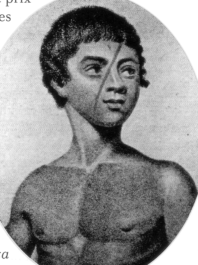 timautete