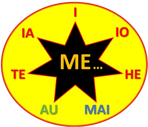 DE &laquo; MEI &raquo; &Agrave; &laquo; ME I &raquo;, UNE &laquo; ME-TAMORPHOSE &raquo; R&Eacute;TROACTIVE&hellip;